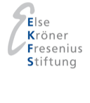 logo ekfs