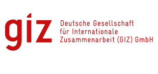 logo giz